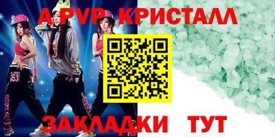 СК Новодвинск