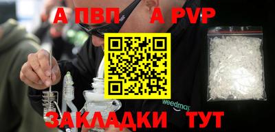 СК Новодвинск