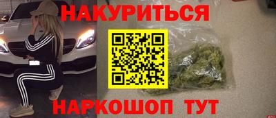 СК Новодвинск