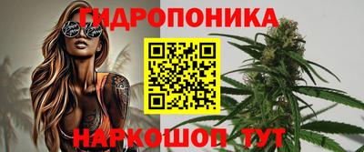 СК Новодвинск