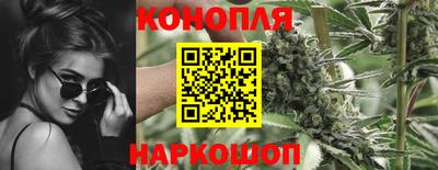 СК Новодвинск