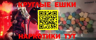 СК Новодвинск