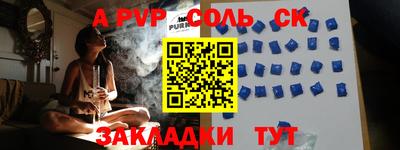 СК Новодвинск