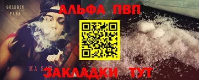 СК Новодвинск