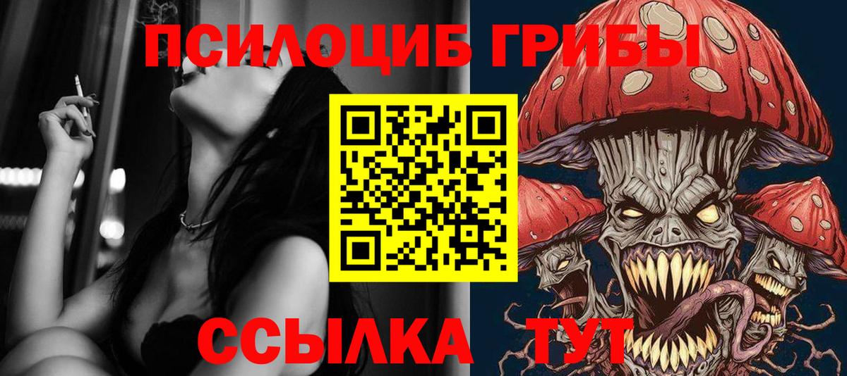 Псилоцибиновые грибы MAGIC MUSHROOMS Пушкино