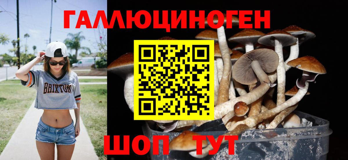 Пушкино  Галлюциногенные грибы мицелий  Вход с VPN 